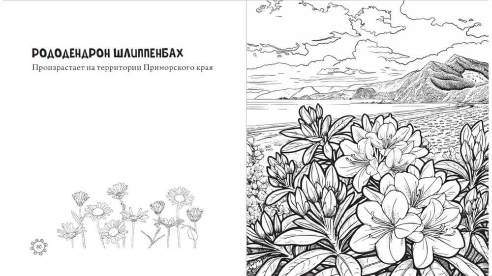 Чарующие краски России. Страницы нежности и красоты. Раскраски по славянским мотивам