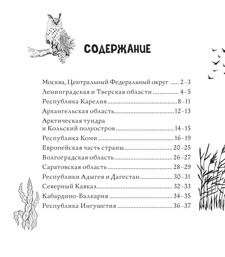 Чарующие краски России. Страницы нежности и красоты. Раскраски по славянским мотивам