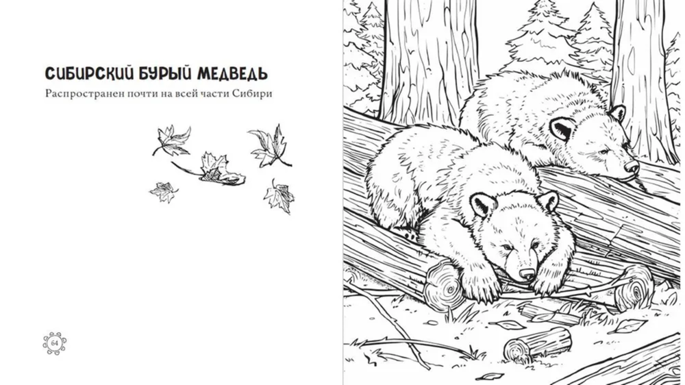 Чарующие краски России. Страницы нежности и красоты. Раскраски по славянским мотивам