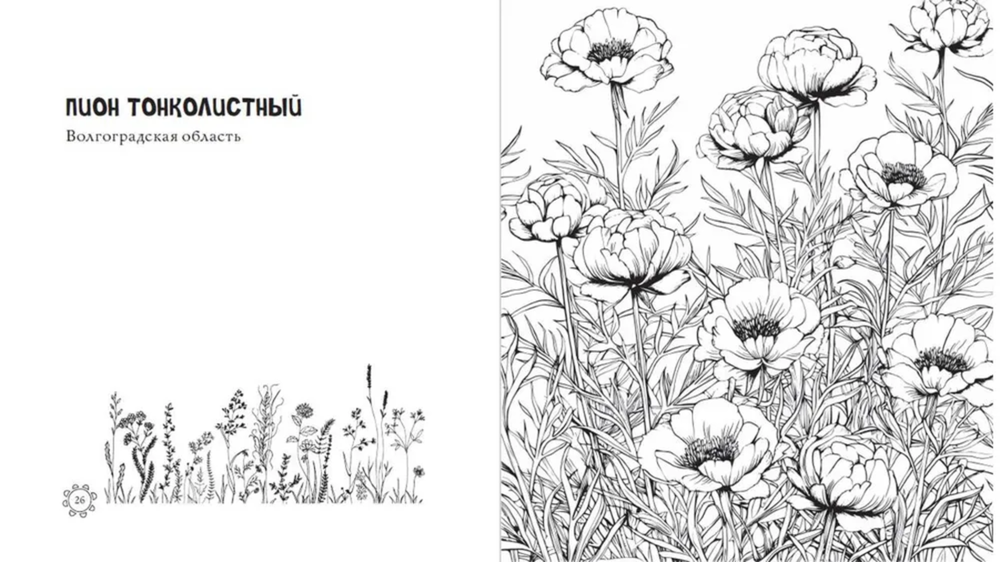 Чарующие краски России. Страницы нежности и красоты. Раскраски по славянским мотивам