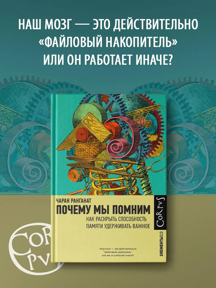 Почему мы помним