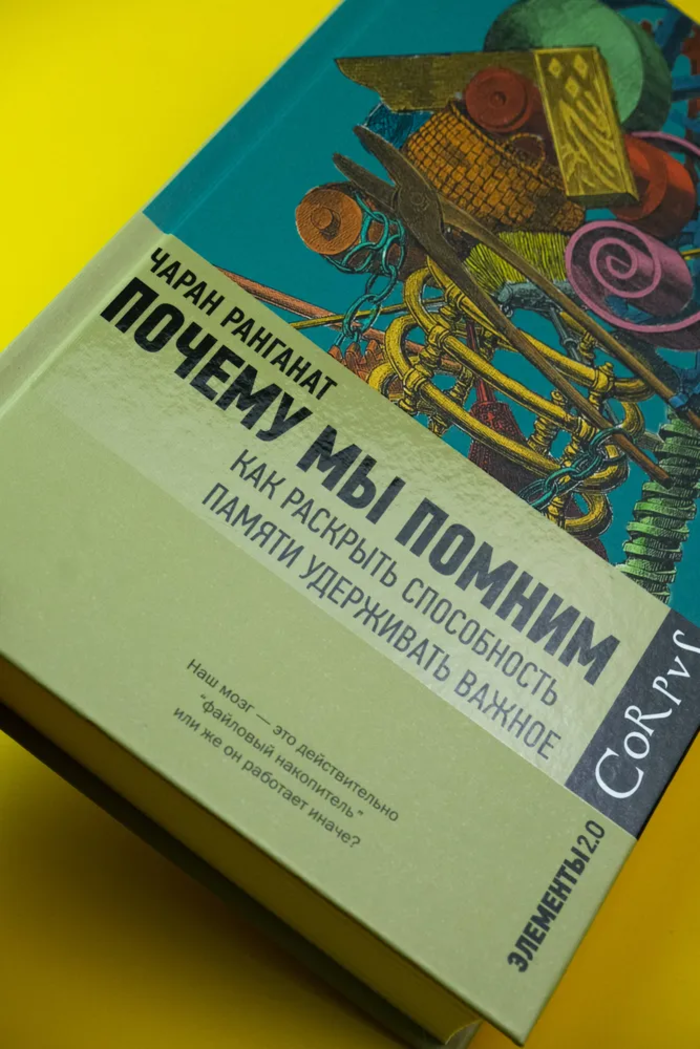 Почему мы помним