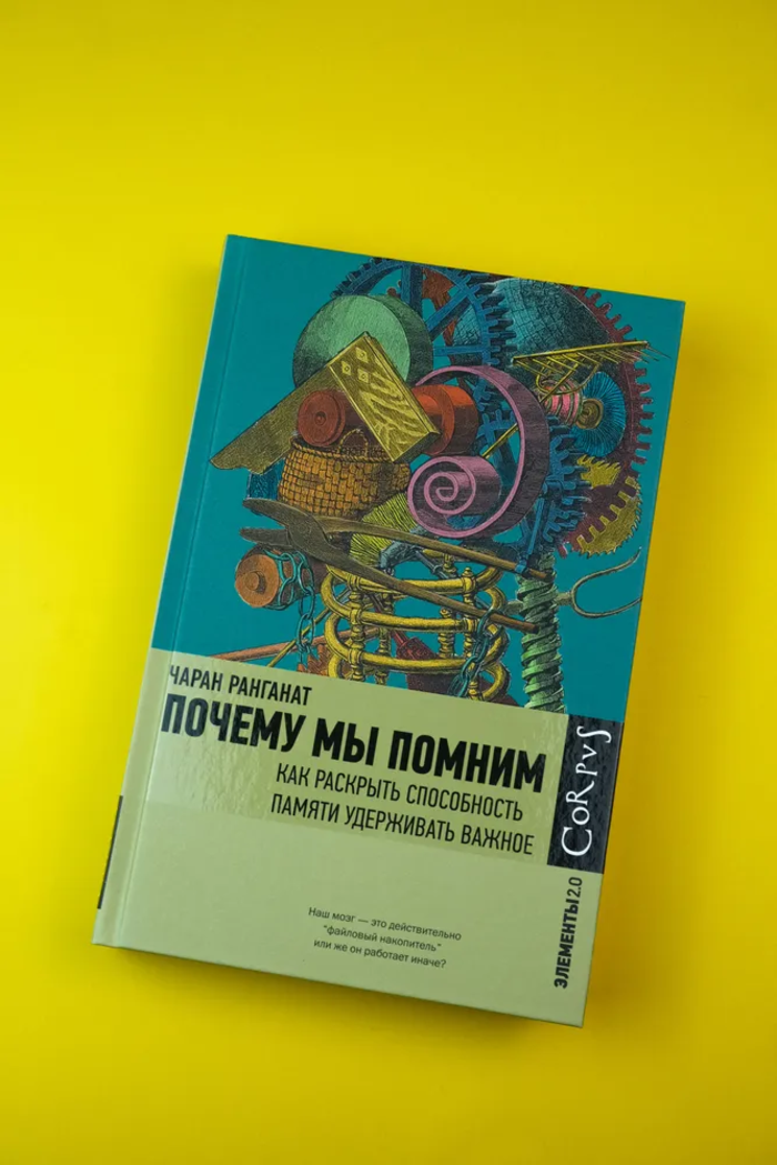 Почему мы помним