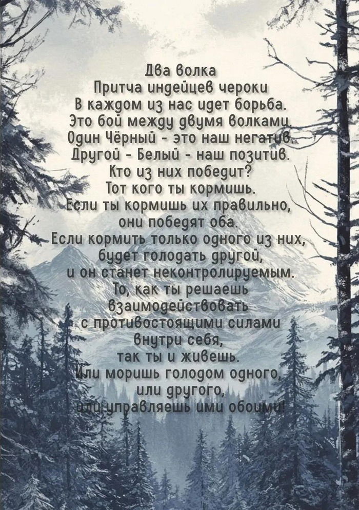 Таро Черного Волка