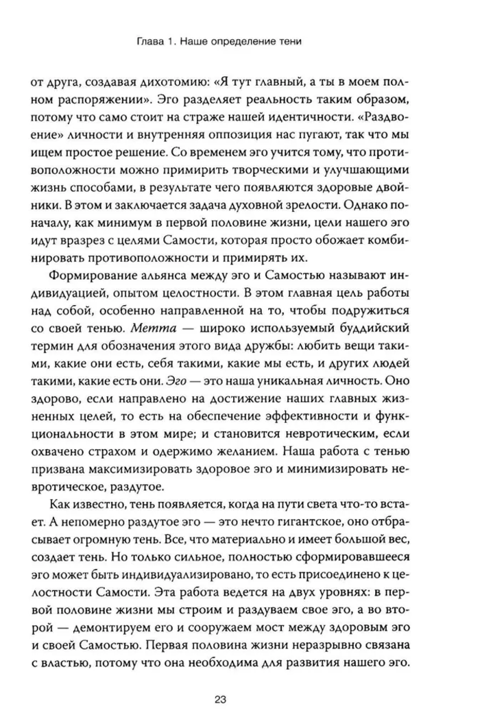 Танцующие с тенью. Архетип тени для трансформации внутренних демонов в силу и свободу