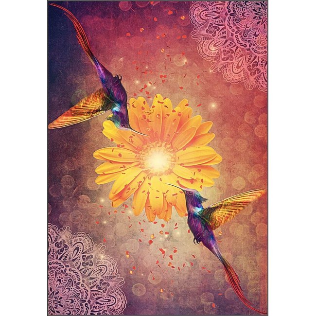 Hummingbird Wisdom Oracle Cards. Оракул мудрости колибри