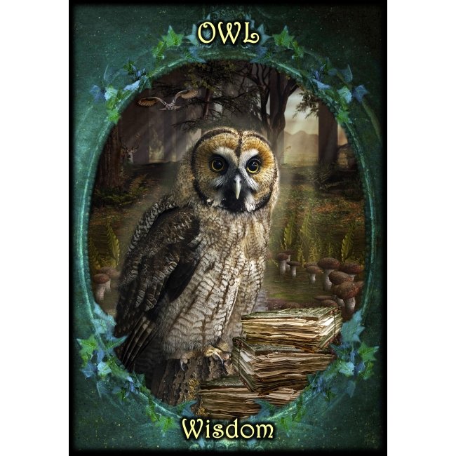 Witches Familiars Oracle Cards. Оракул Фамильяры Ведьм