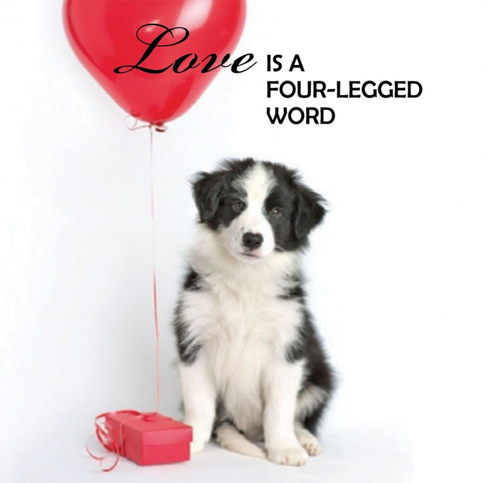 Pup Notes. 60 Notes of Dog Love and Joy. Записки щенка. 60 карт Собачьей Любви и Радости