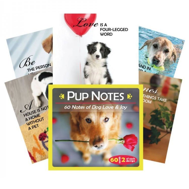 Pup Notes. 60 Notes of Dog Love and Joy. Записки щенка. 60 карт Собачьей Любви и Радости
